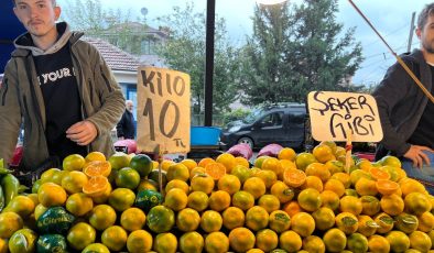 Düzce’de kışlık sebze ve meyveleri pazara inmeye başladı