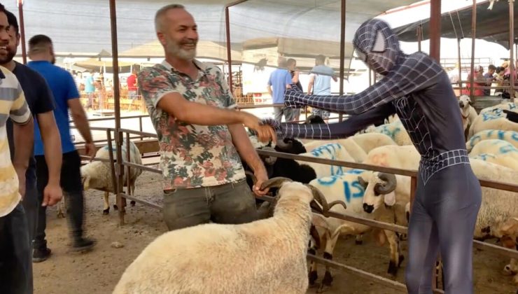 Adana’da bir garip kurban pazarlığı! Örümcek adam kostümü ile gitti