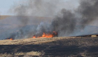 Diyarbakır’da 9 kişinin öldüğü arazi kavgası: Husumet 70 yıldır sürüyordu