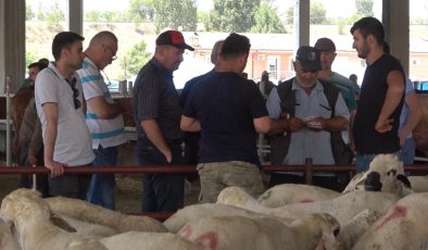 Kırıkkale’de elde kalan kurbanlıkların fiyatı maliyetine düşürüldü