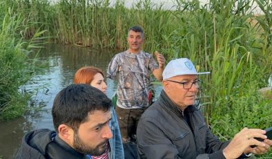 Uzmanlar Eber Gölü kurursa manda kaymağının üretilmeyeceğini belirtiyor