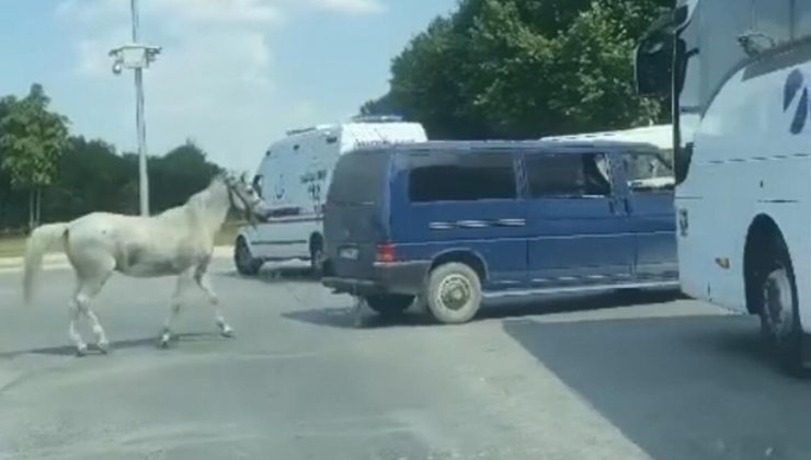 Eskişehir’de atı arkasından koşturan sürücü için gözaltı kararı