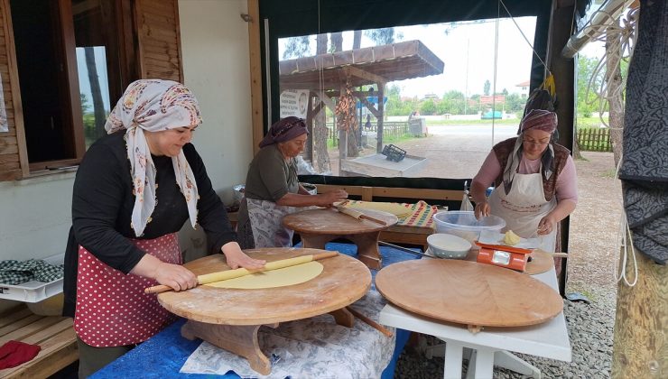 Samsun’da kooperatif kuran 10 kadın, organik üründen gelir elde ediyor