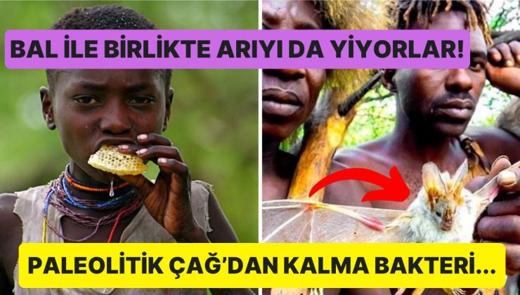 Bilinen Son İlkel Kabile Olan Tanzanya’daki Hadza Kabilesi ve Sahip Oldukları Tuhaf Bakteri!