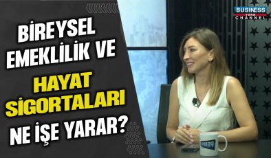 Bireysel Emeklilik ve Hayat Sigortaları: Birikim Kapısı ve Güvenli Gelecek İçin Vazgeçilmez Aracınız