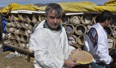 Bitlis’te Dünyaca Ünlü Karakovan Balı Hasadı Başladı